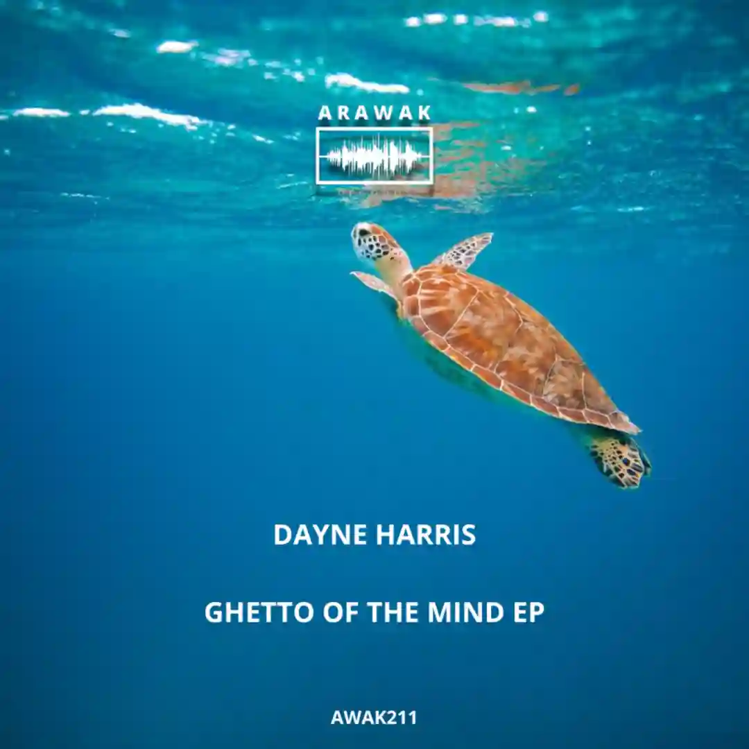 Dizzy (Original Mix) cover