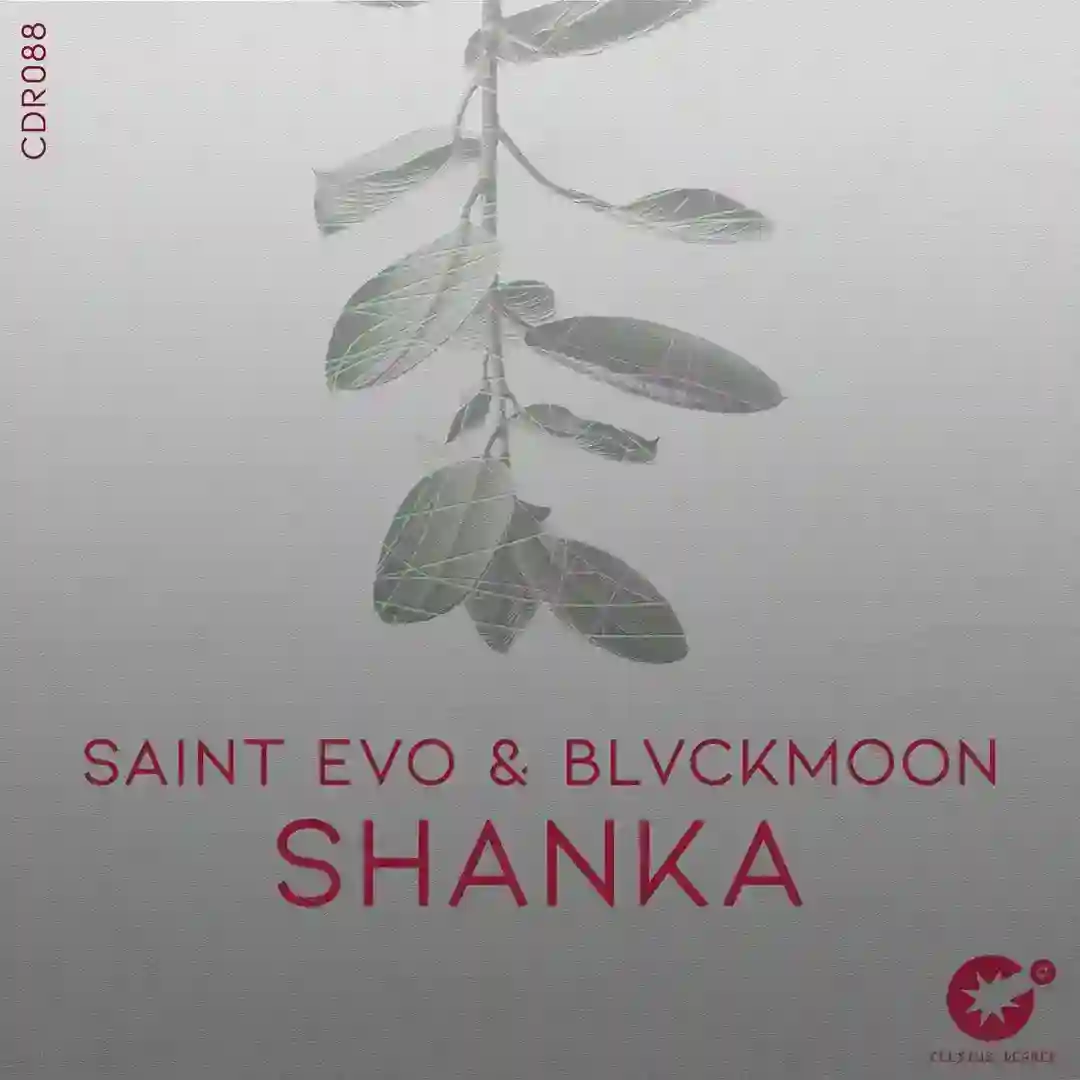 Shanka cover