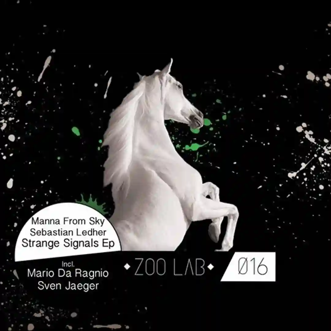 Strange Signals (Original Mix) cover