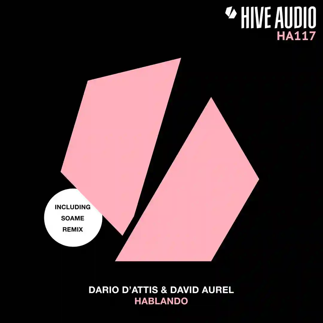 Hablando (SOAME Remix) cover