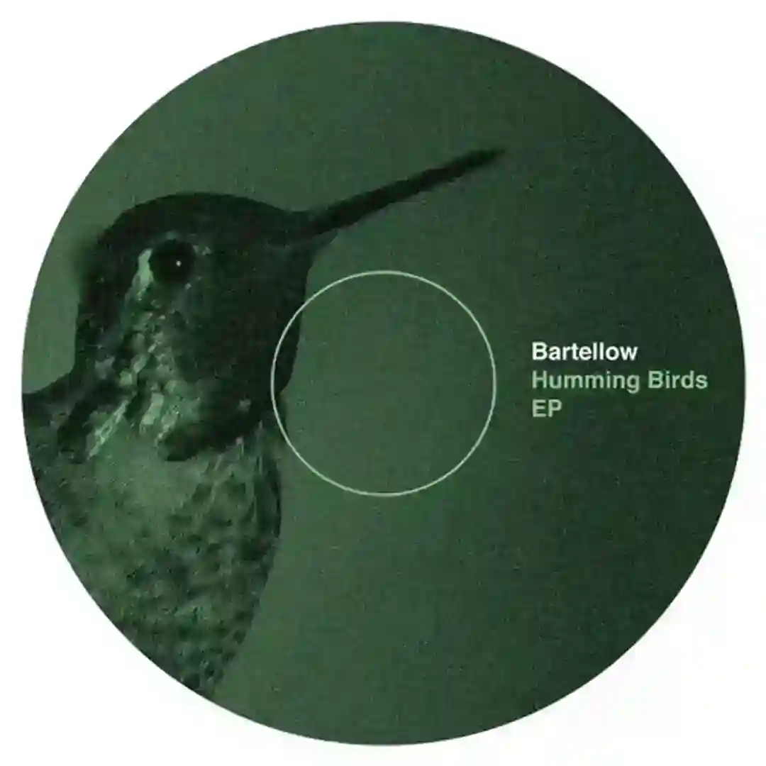 Humming Birds (Original Mix) cover