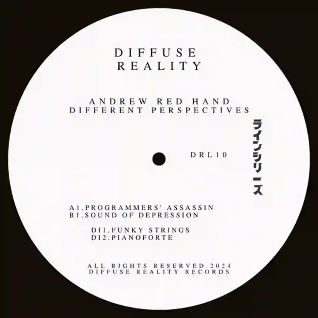 Different Perspectives cover