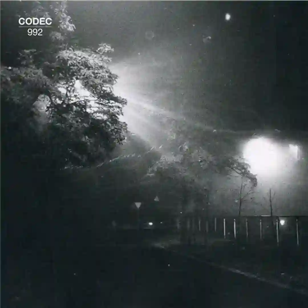 Decoded Identity (Matrixxman Remix) cover