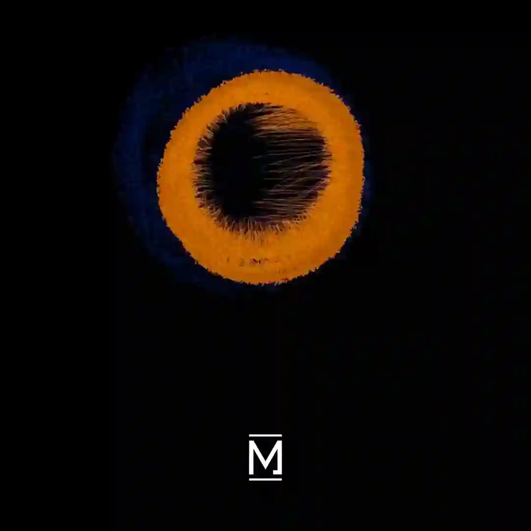 Eye of the Beholder (Abuk Remix) cover