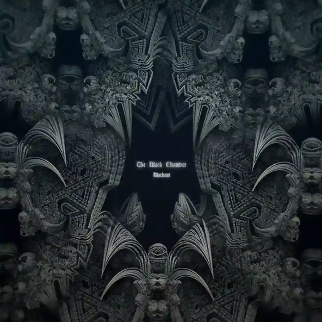 Blackout 2 (Original Mix) cover