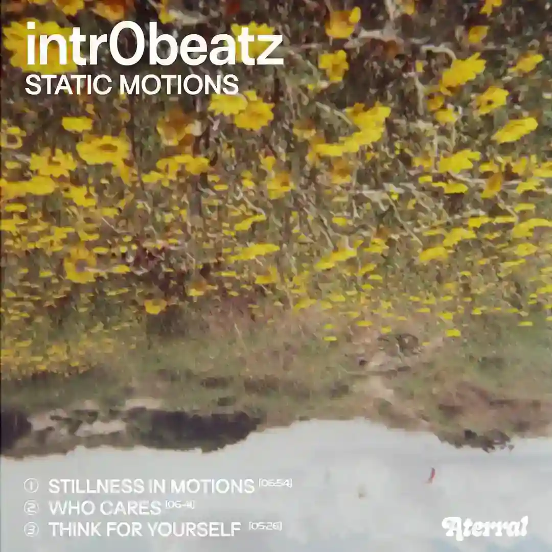 Stillness in Motions (Original Mix) cover