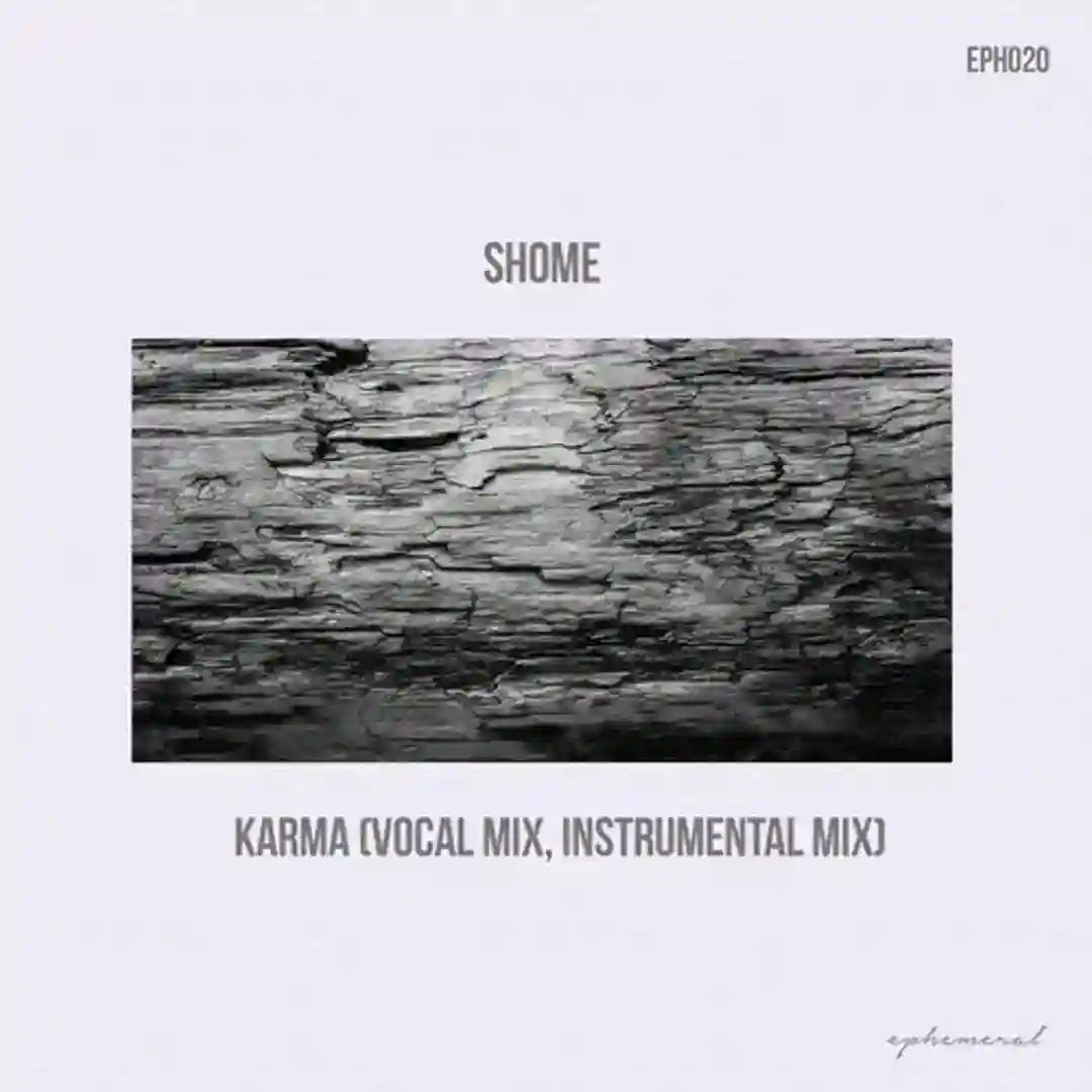 Karma (Vocal Mix) cover