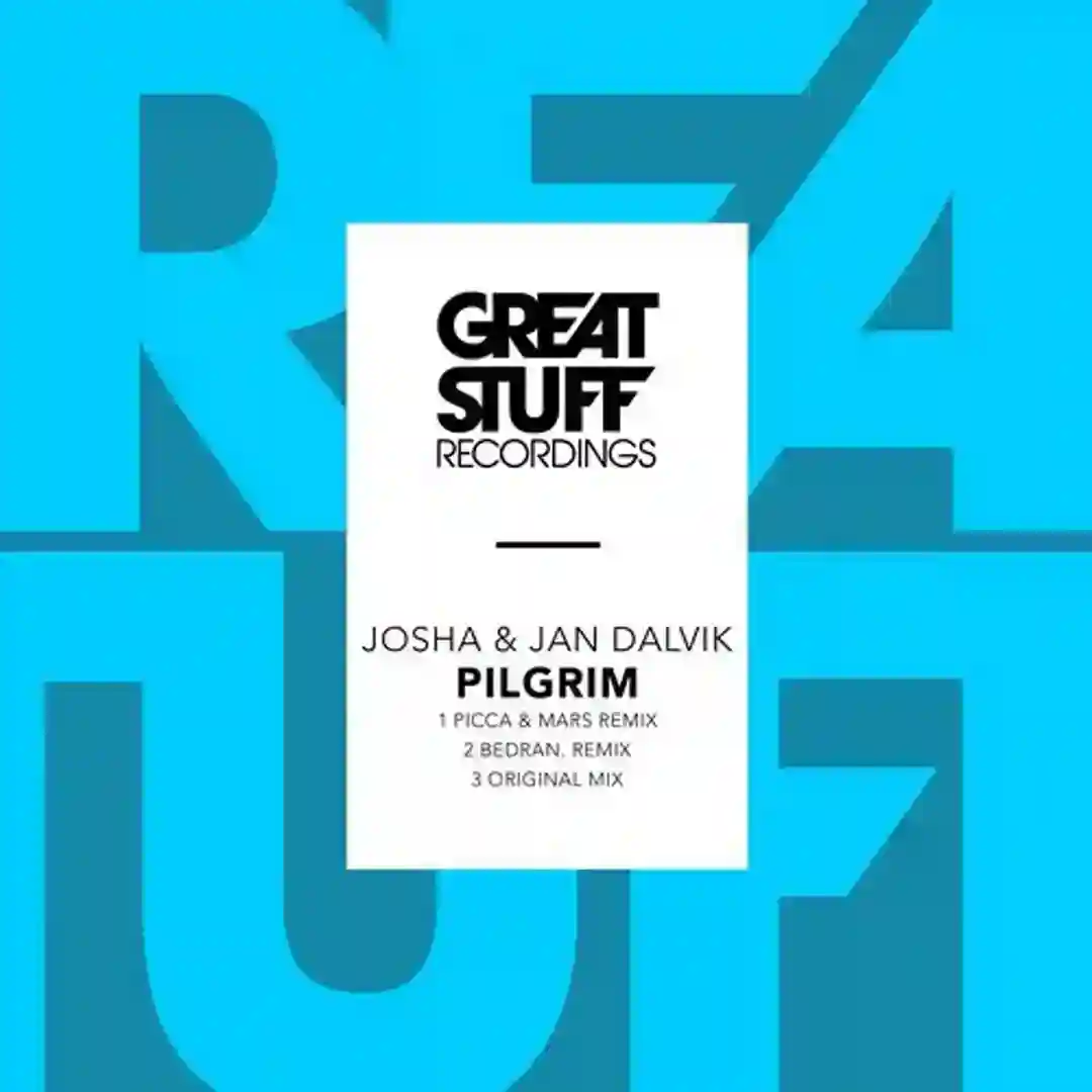 Pilgrim (Bedran. Remix) cover