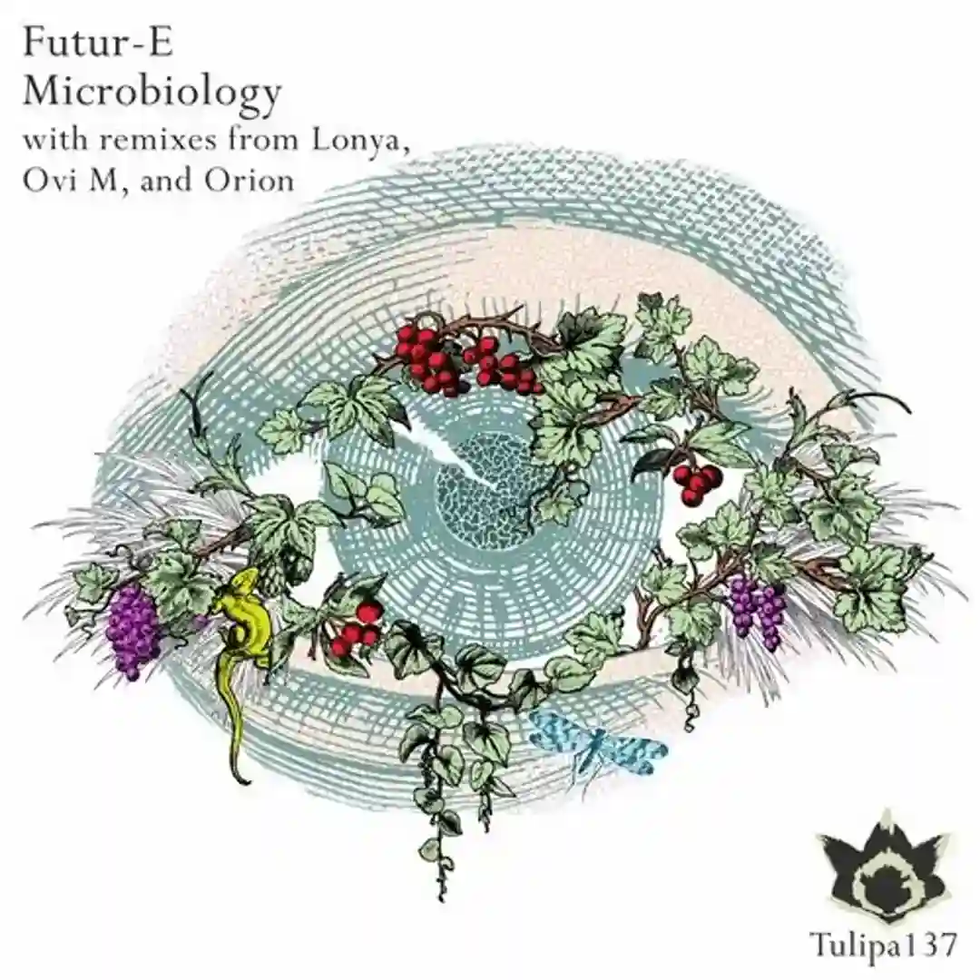 Telescope (Orion Deep Field Remix) cover