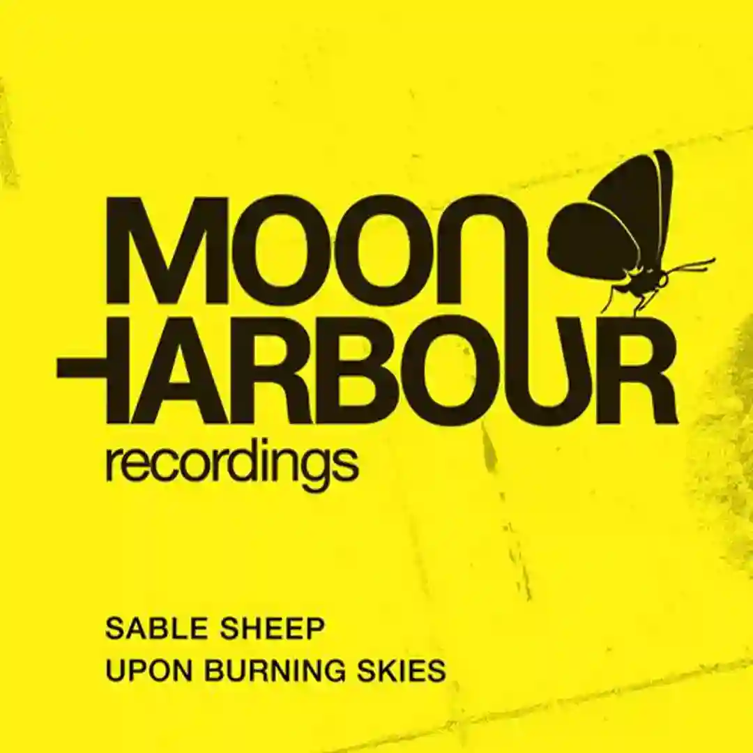 Upon Burning Skies cover