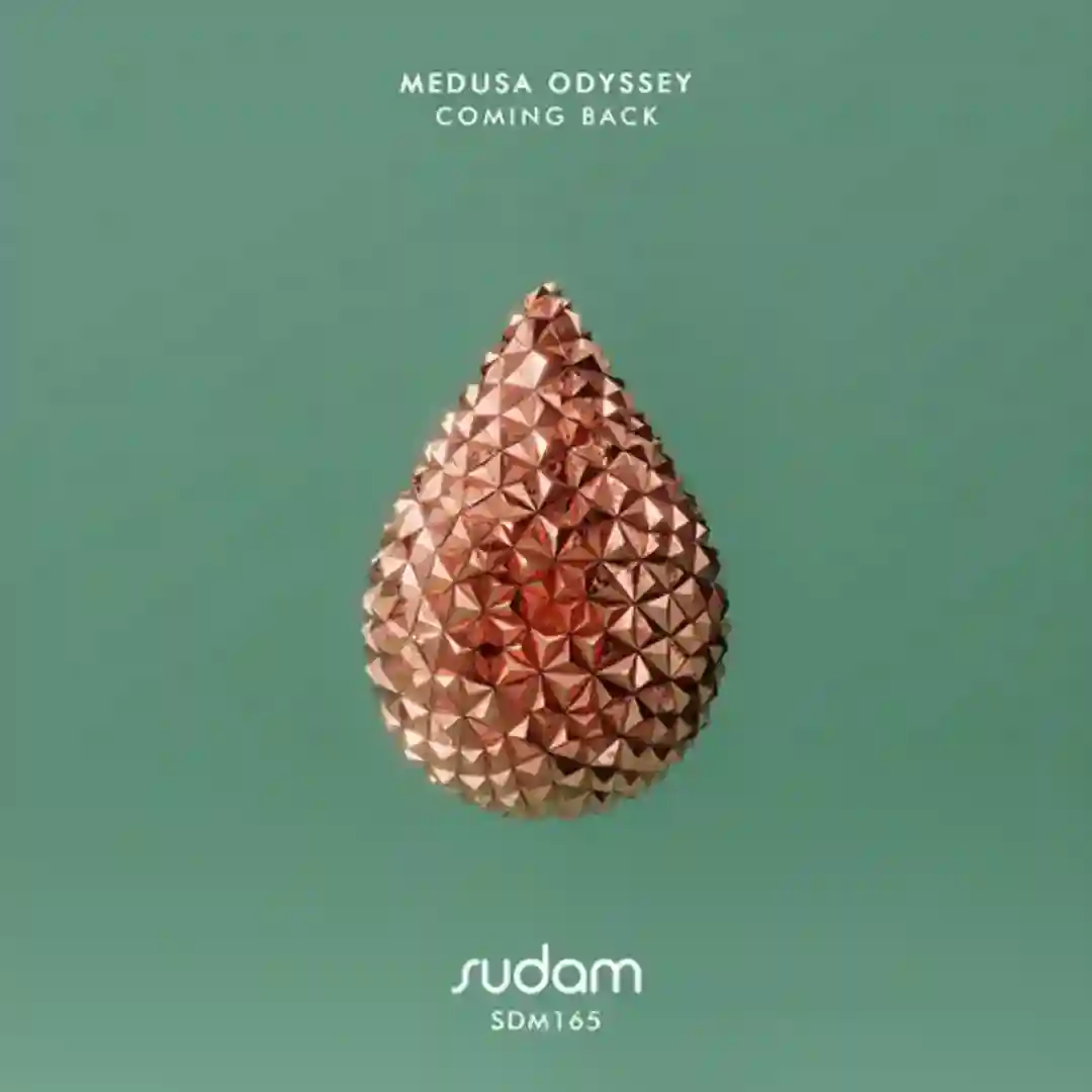 Veo (Original Mix) cover