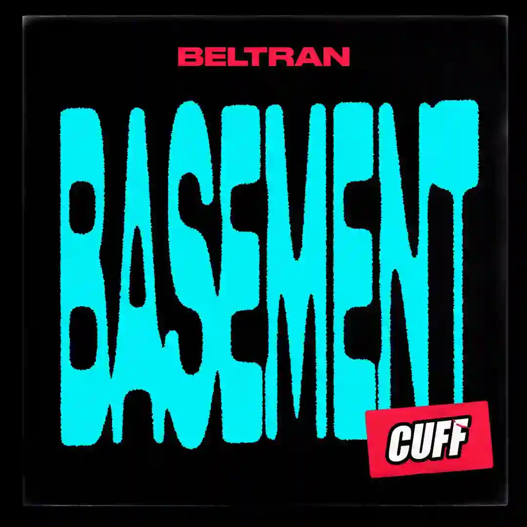 Basement cover