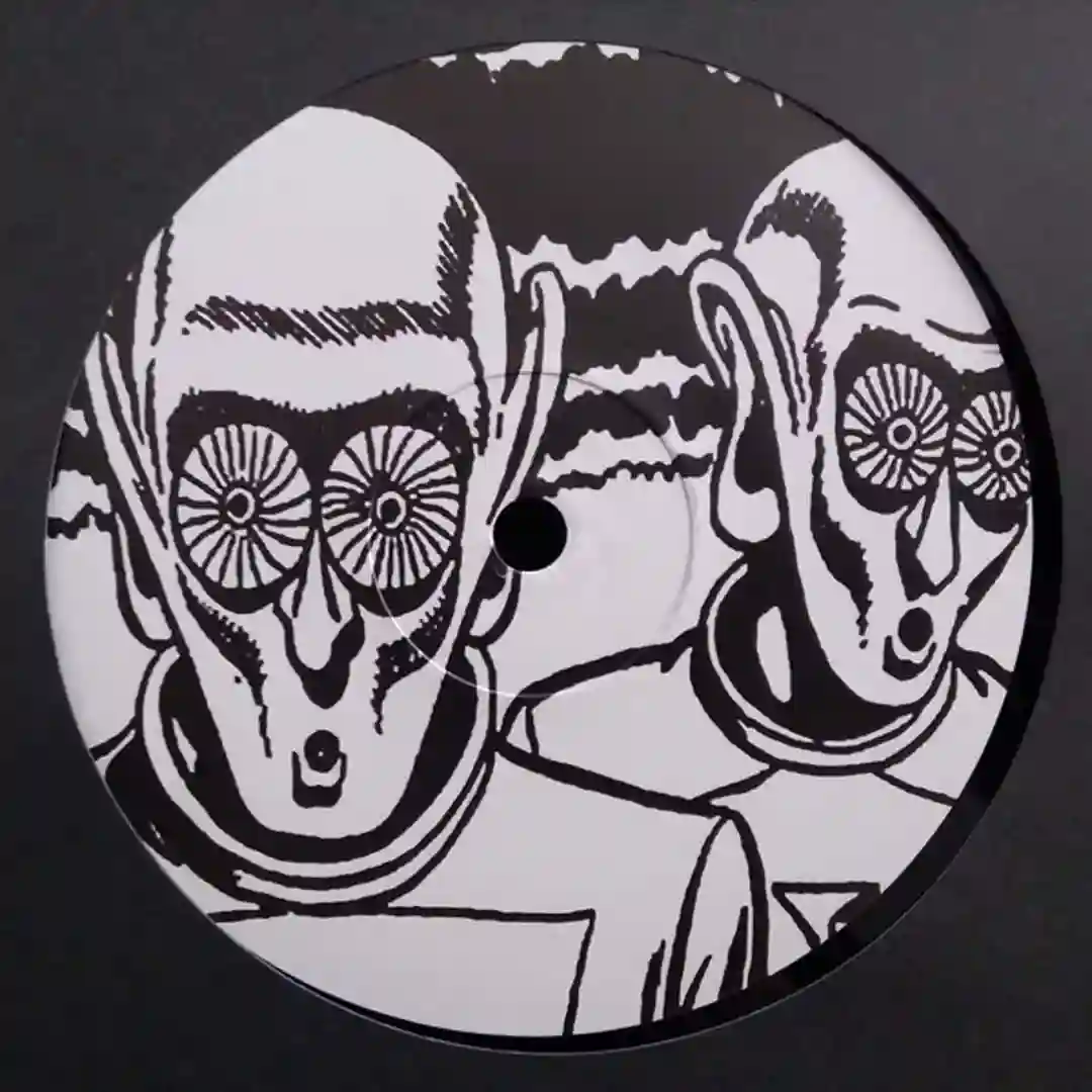 D Vision cover