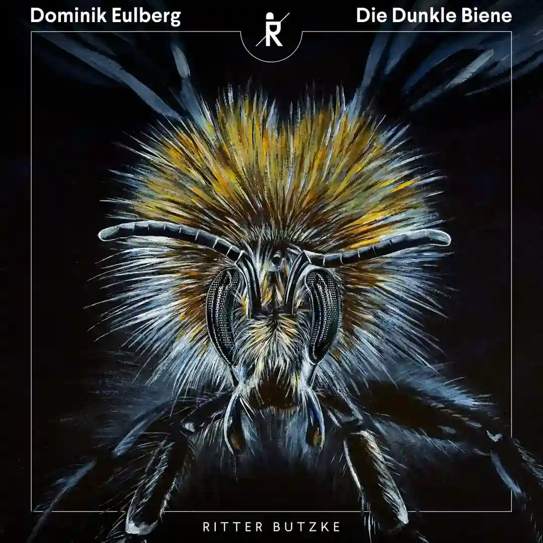 Die Dunkle Biene cover