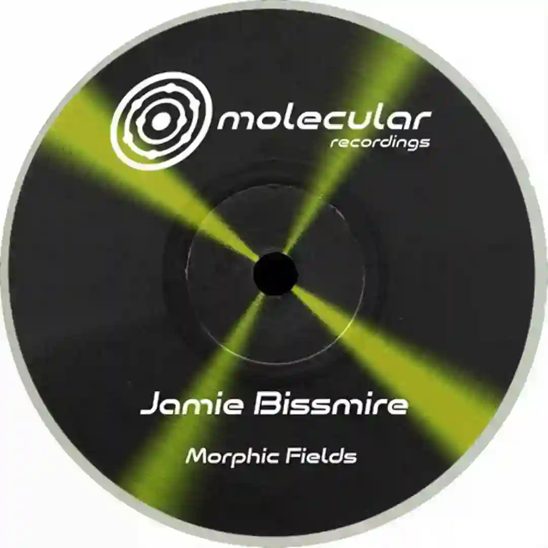 Morphic Fields cover