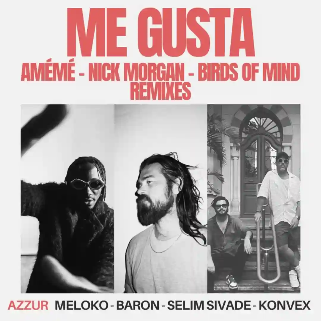 Me Gusta (Birds Of Mind Remix) cover