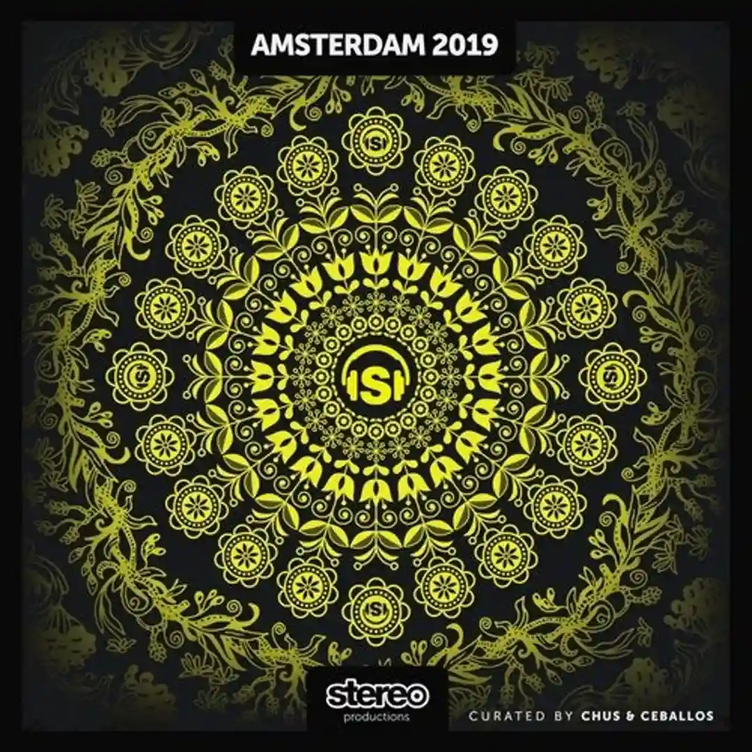 Mission Timid (Original Mix) cover
