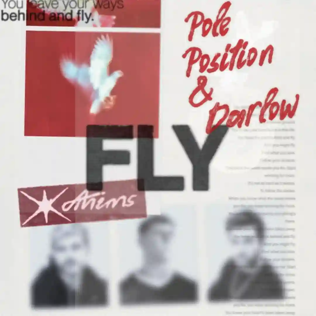 Fly cover