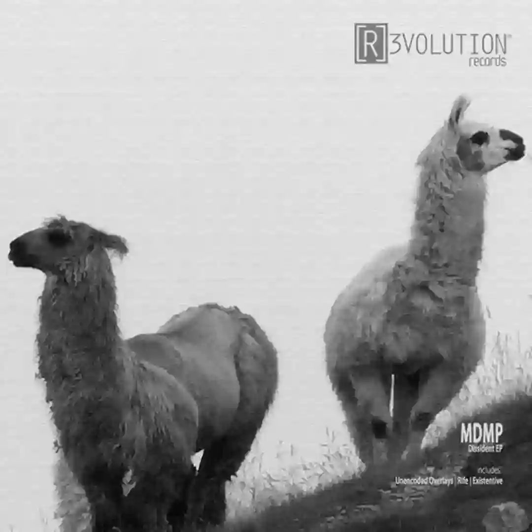 Rife (Original Mix) cover