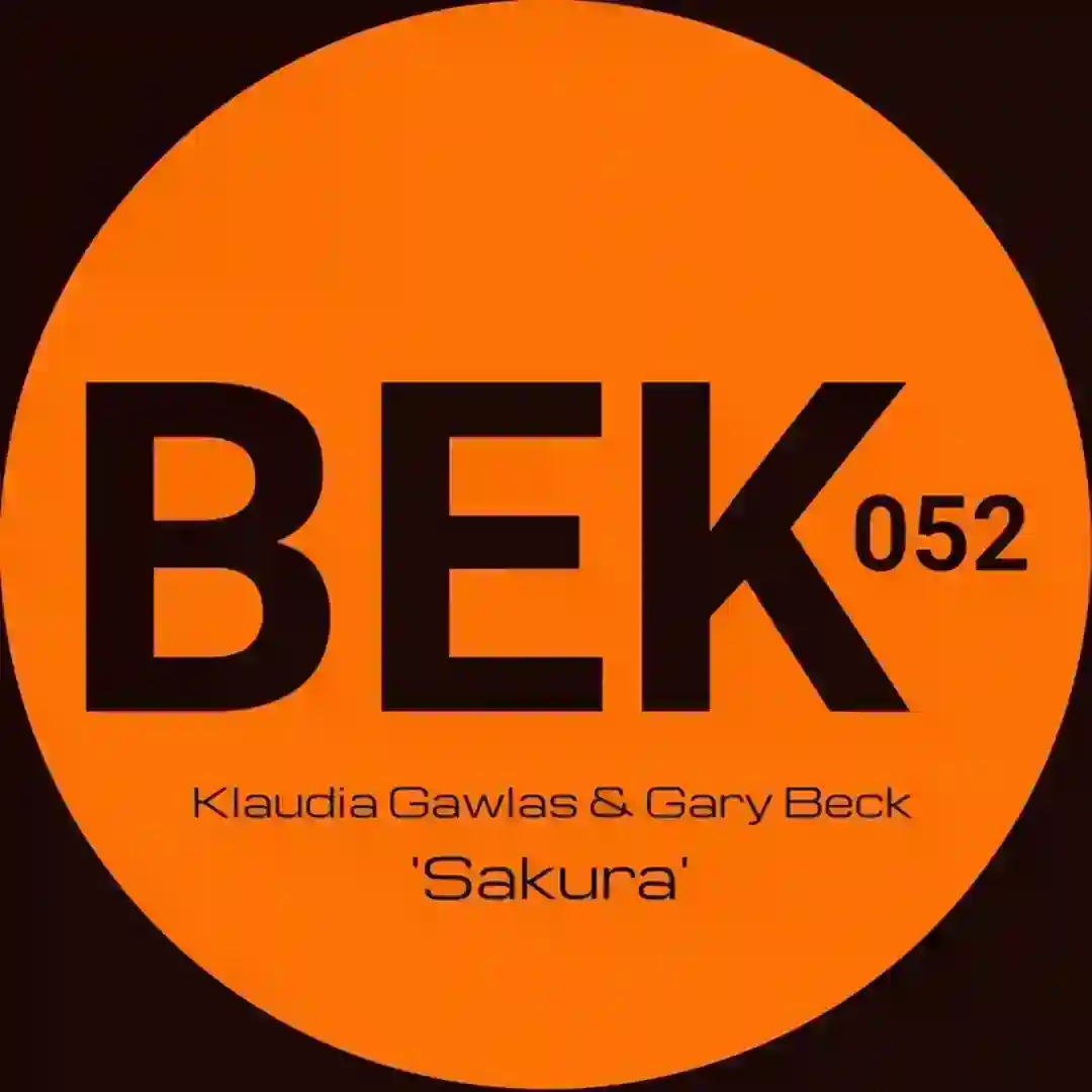 Treasure cover
