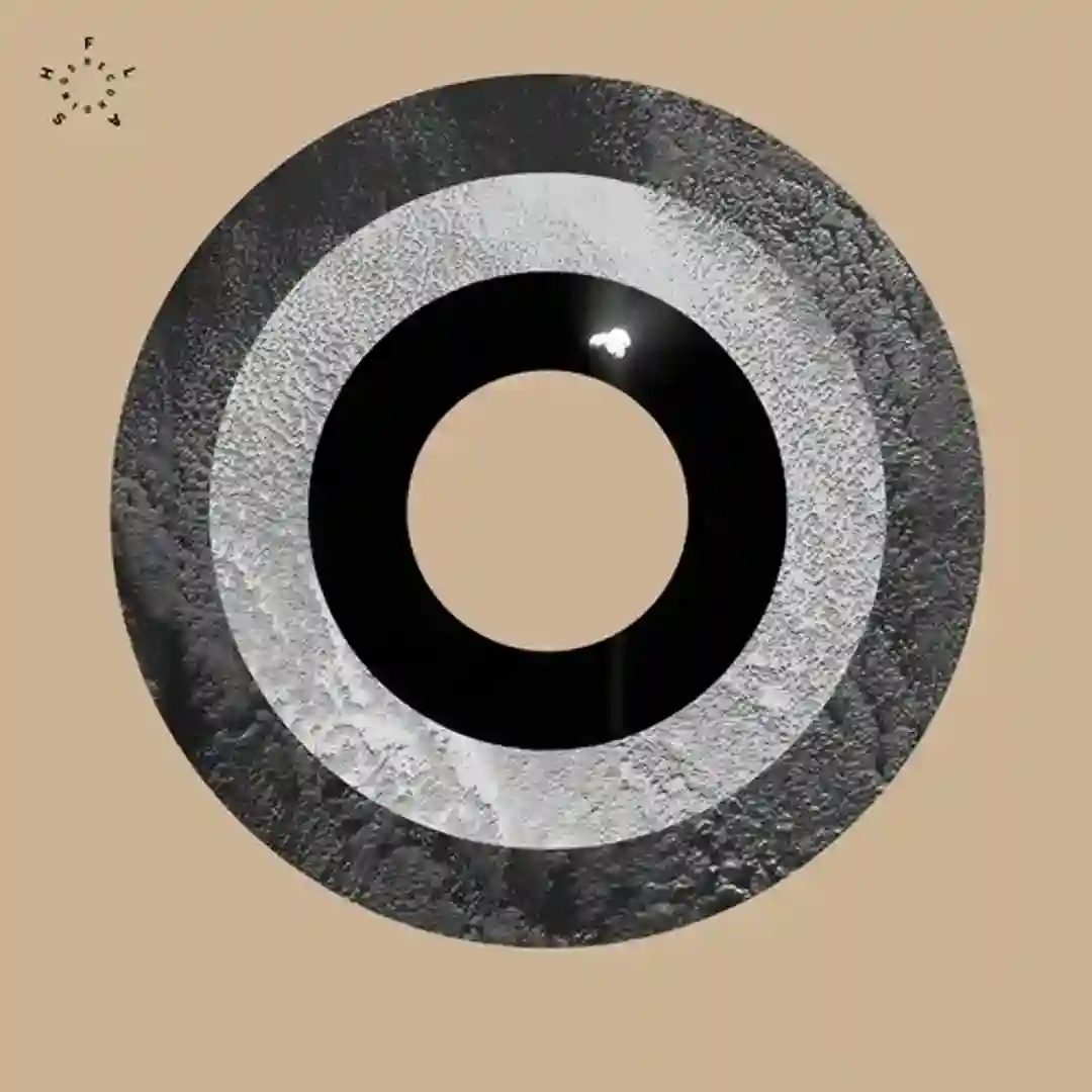 Python EP cover