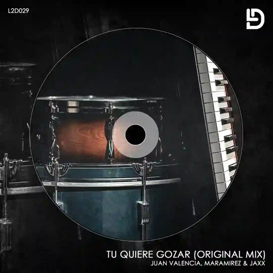 Tu Quiere Gozar (Original Mix) cover