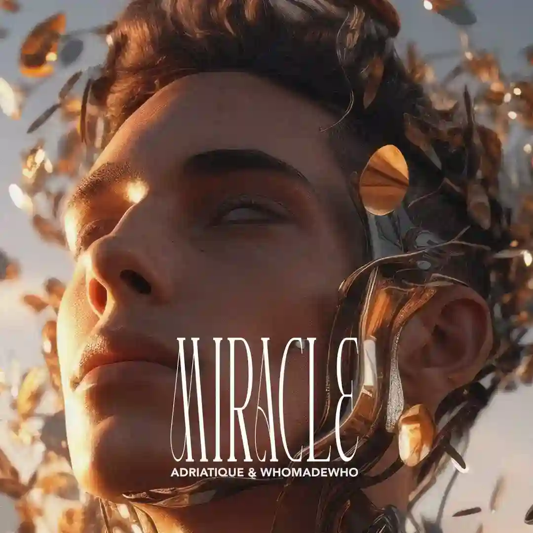 Miracle (Original Mix) cover
