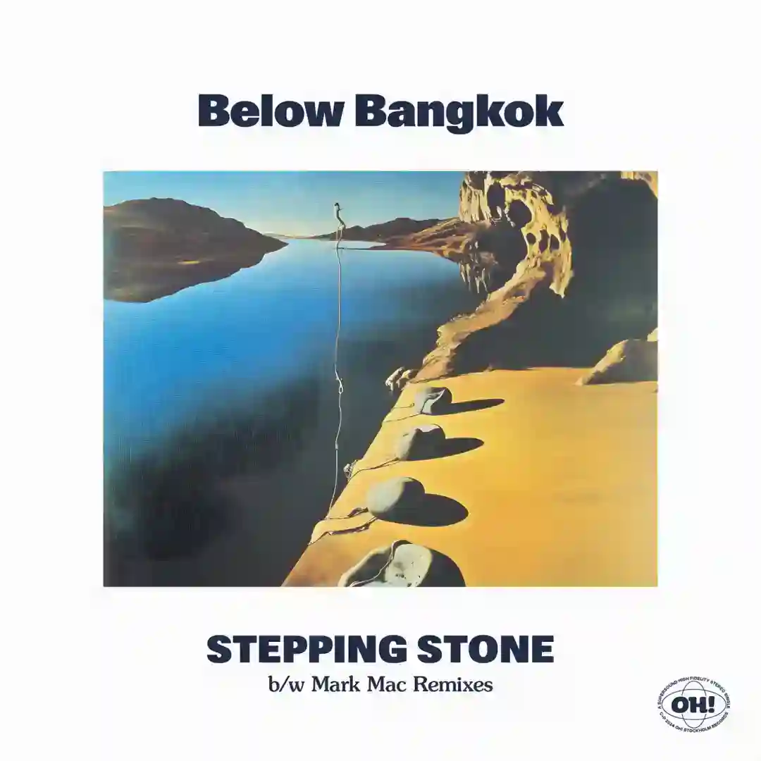 Stepping Stone (Mark Mac Dub) cover