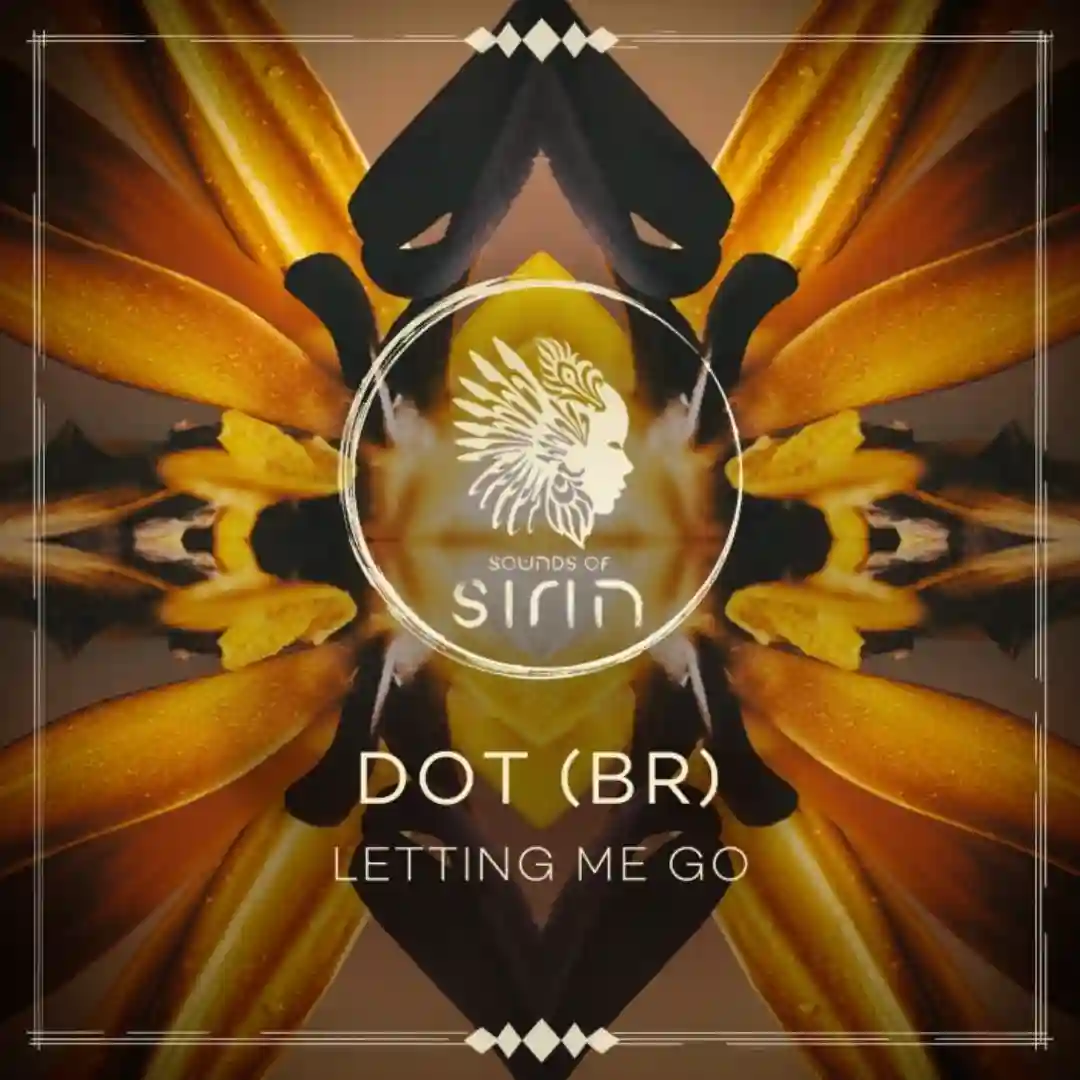 Letting Me Go (Extended Mix) cover