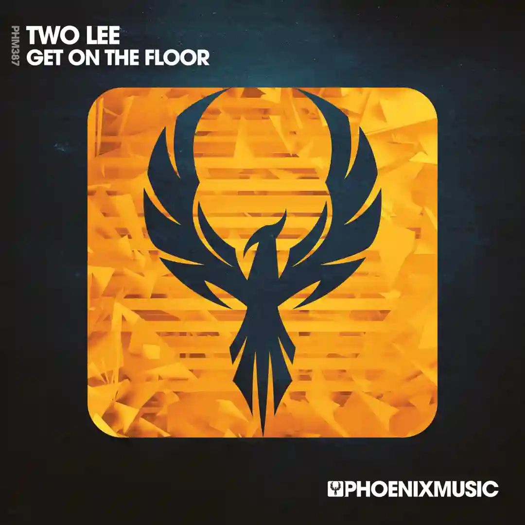 Get On The Floor (Extended Mix) cover