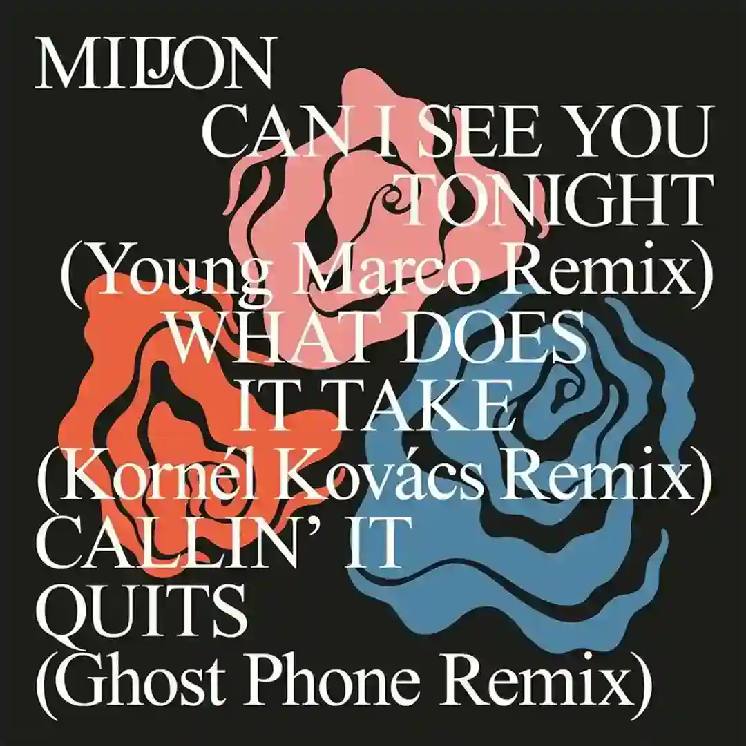 What Does It Take (Kornél Kovács Remix) cover