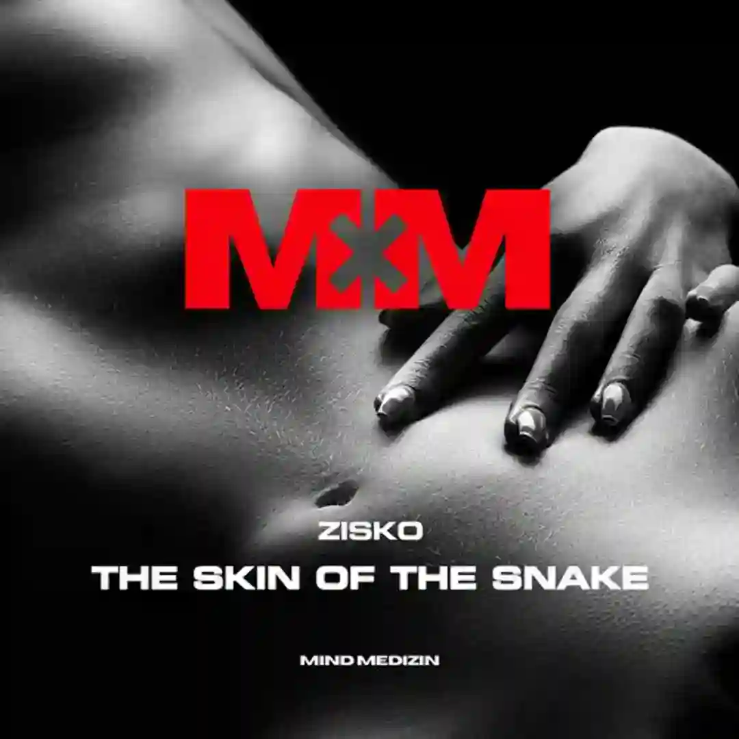 The Skin Of The Snake cover