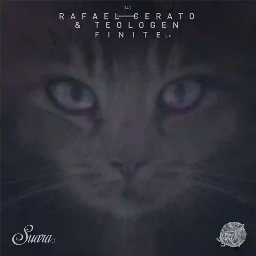 Finite EP cover