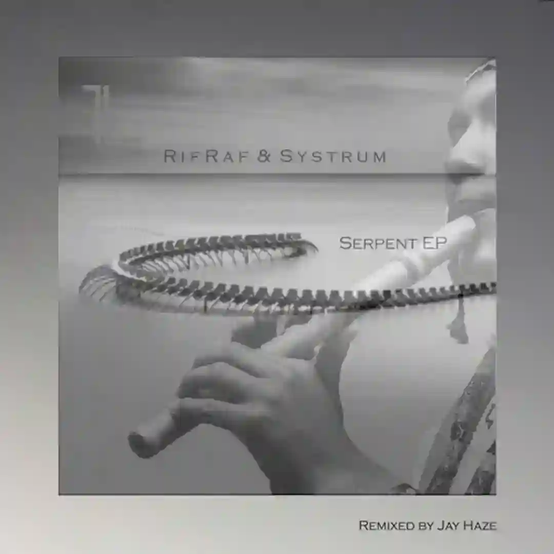 Serpent feat. Daluka (Jay Haze Remix) cover