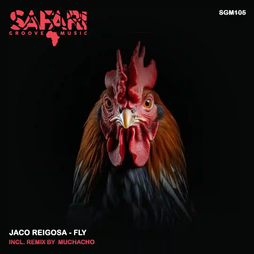 Fly (Muchacho Remix) cover