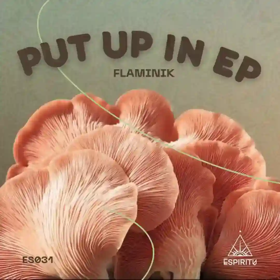 Put Up In (Original Mix) cover