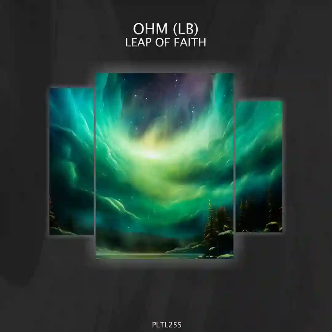 Leap of Faith cover