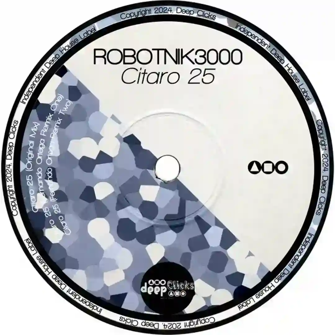 Citaro 25 (Original Mix) cover