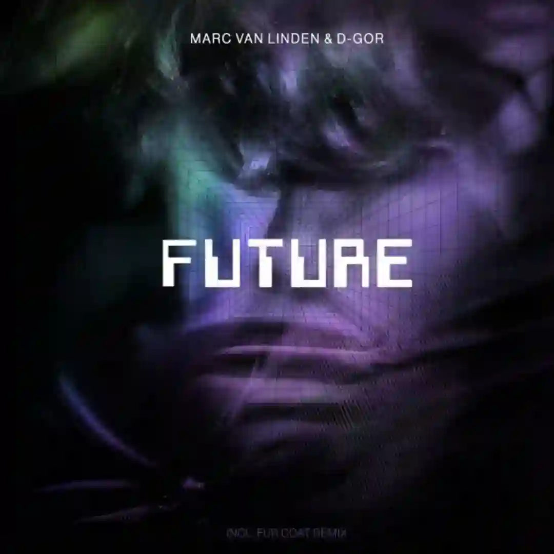Future (Fur Coat Remix) cover