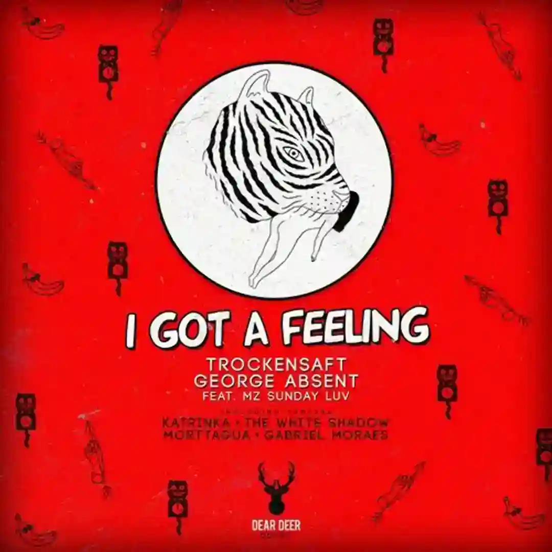 I Got A Feeling (THe WHite SHadow (FR) Remix) cover