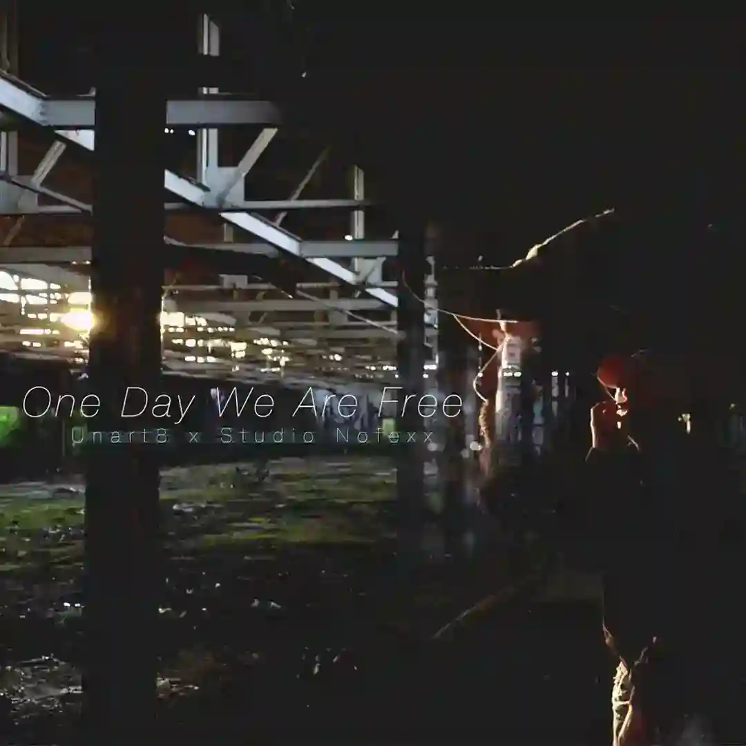 One Day We Are Free cover