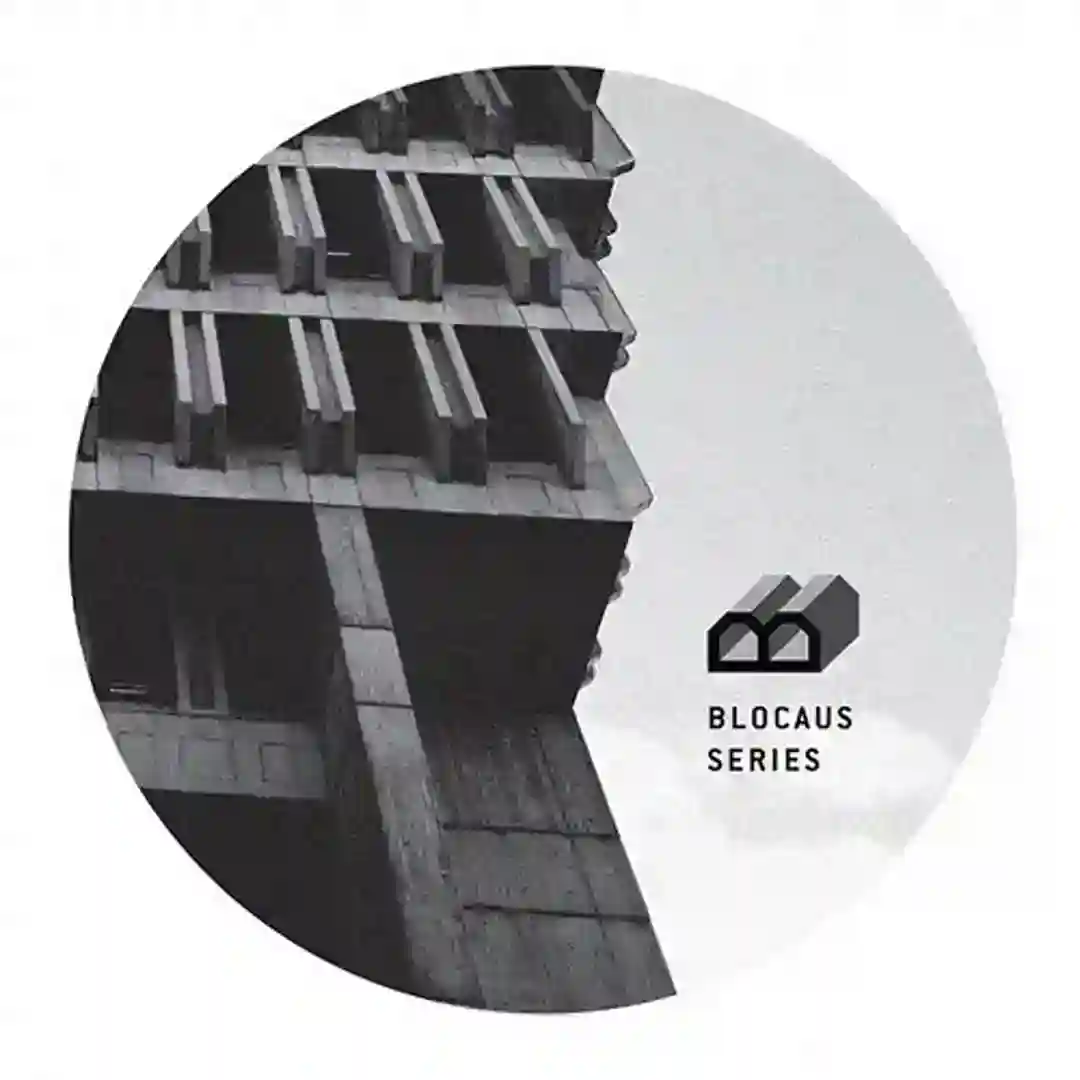 Missing Vector (Original Mix) cover