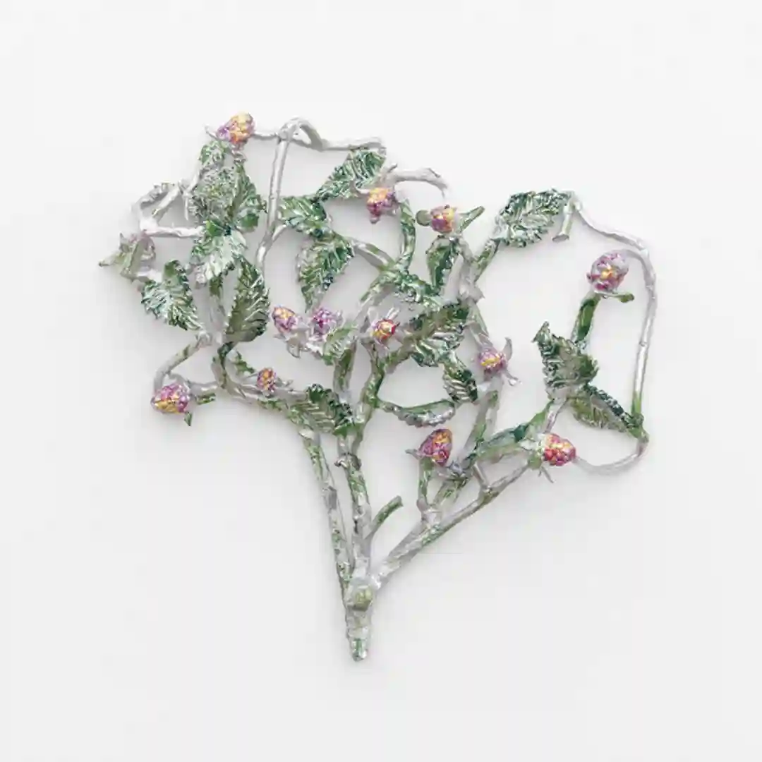 Vecto cover