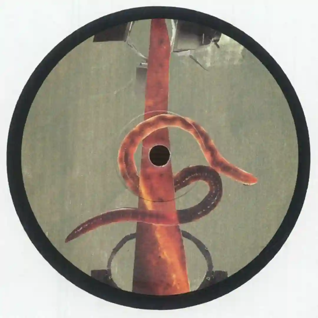 Sonar cover