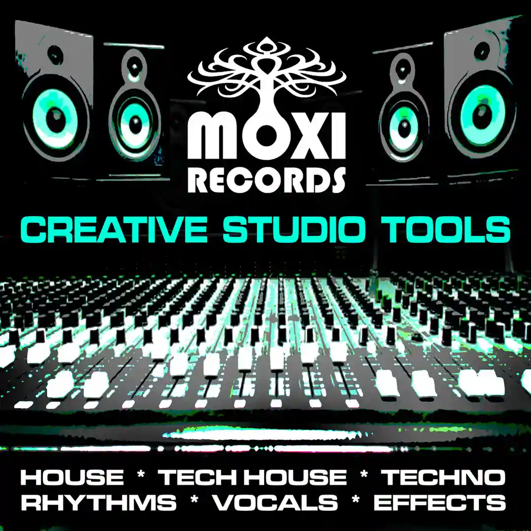 FX Tool 2 (Original Mix) cover