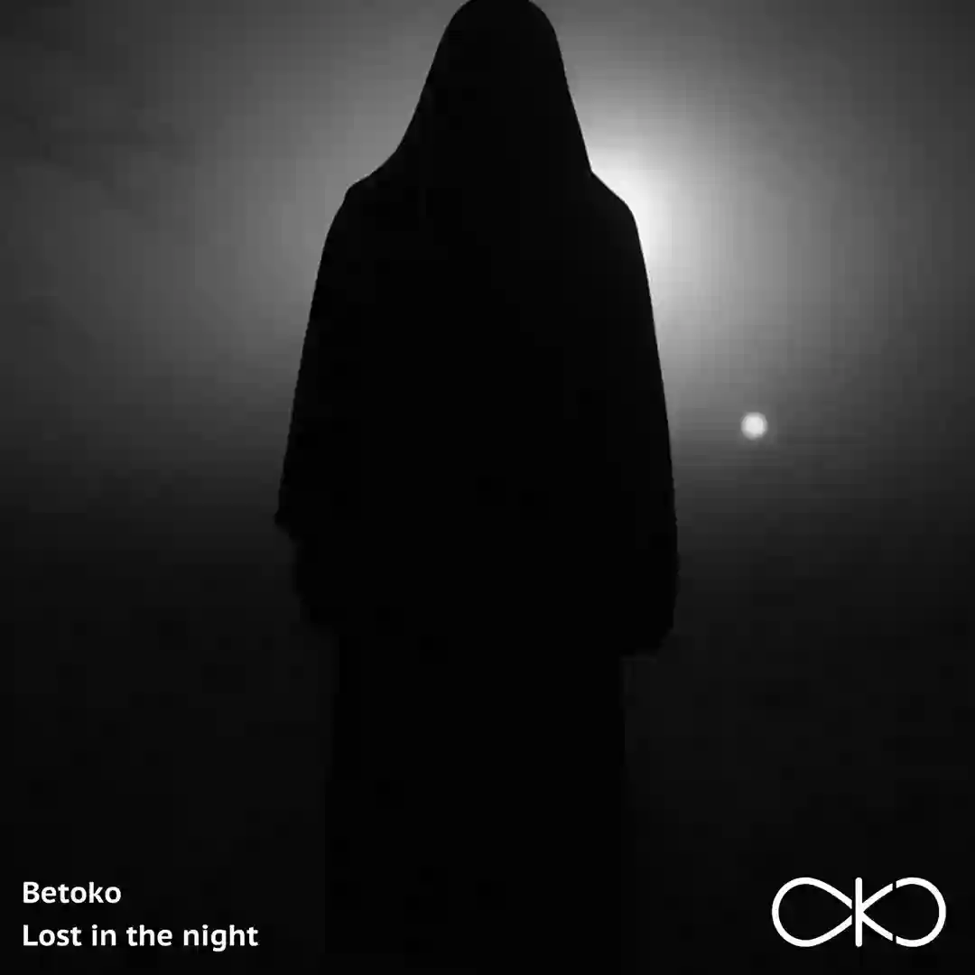 Lost in the night cover