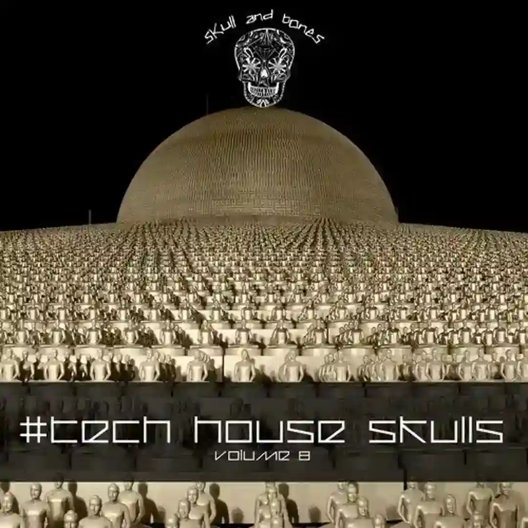Tech House Skulls, Vol. 8 cover