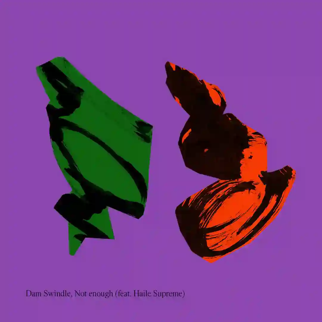Not Enough (feat. Haile Supreme) cover