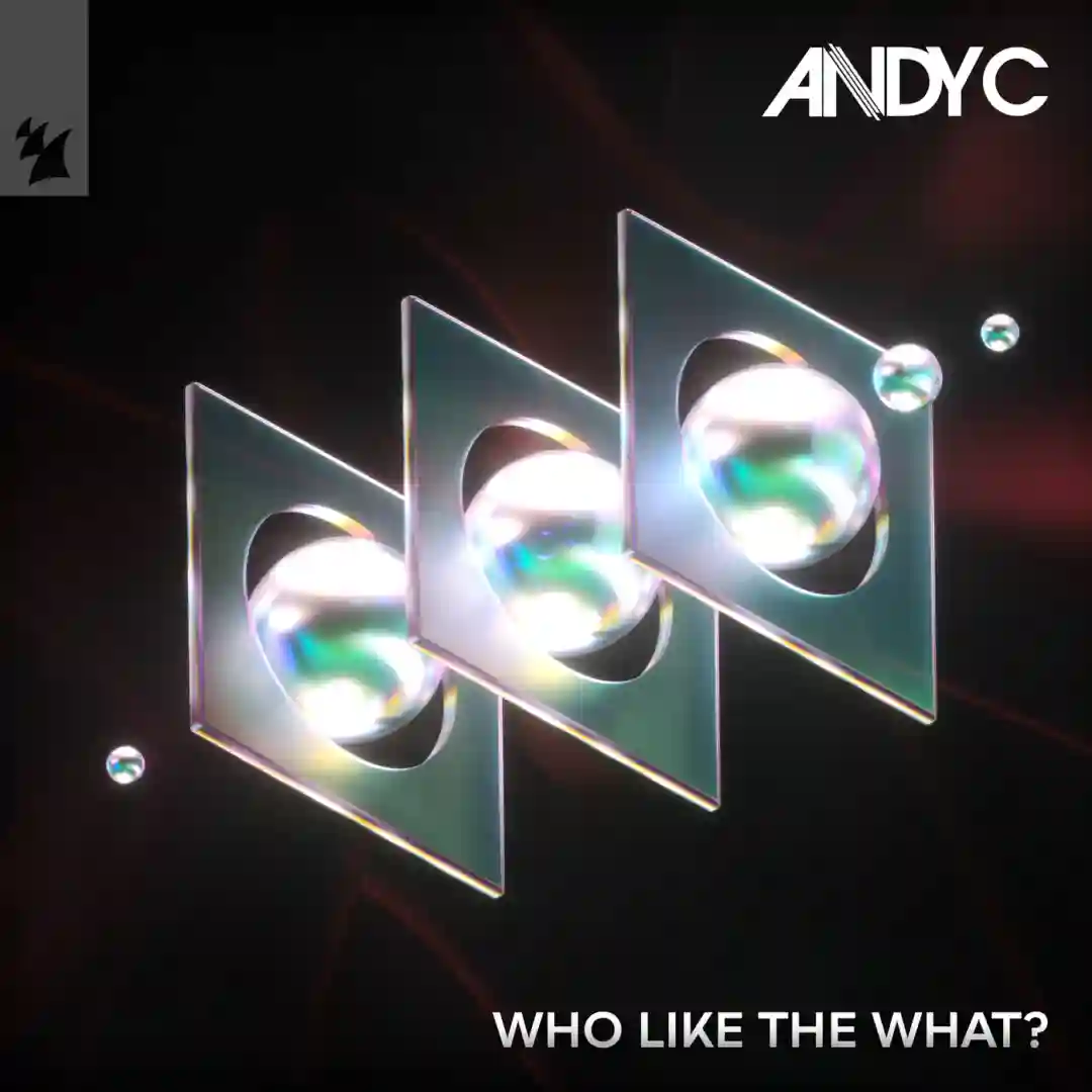Who Like The What? cover