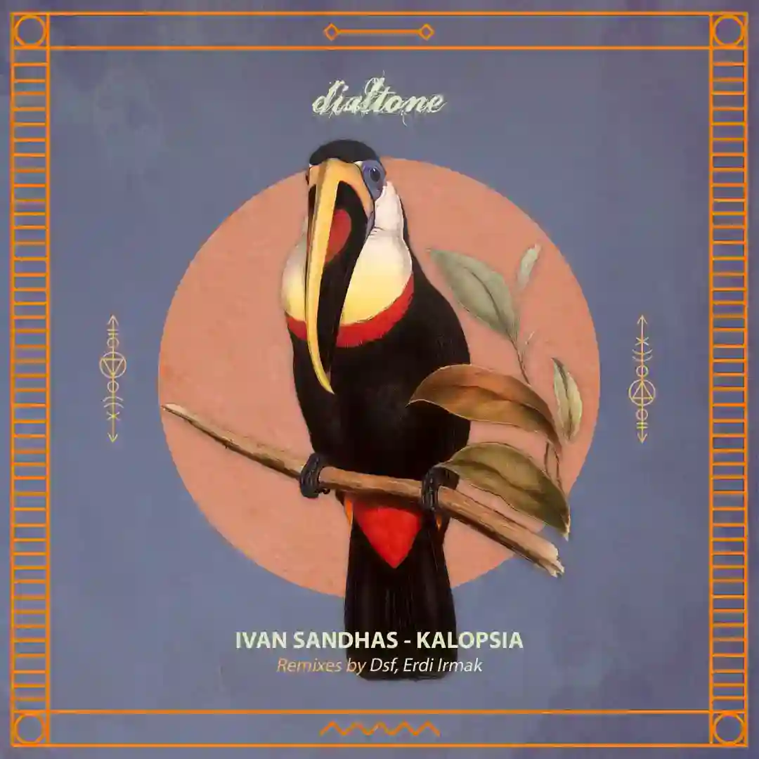 Kalopsia (Erdi Irmak Remix) cover